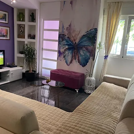 Apartment Dorotea Butterfly Budva